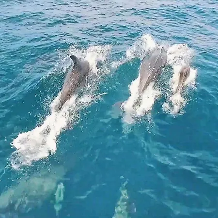 Isla Bella By Algarve Vacation